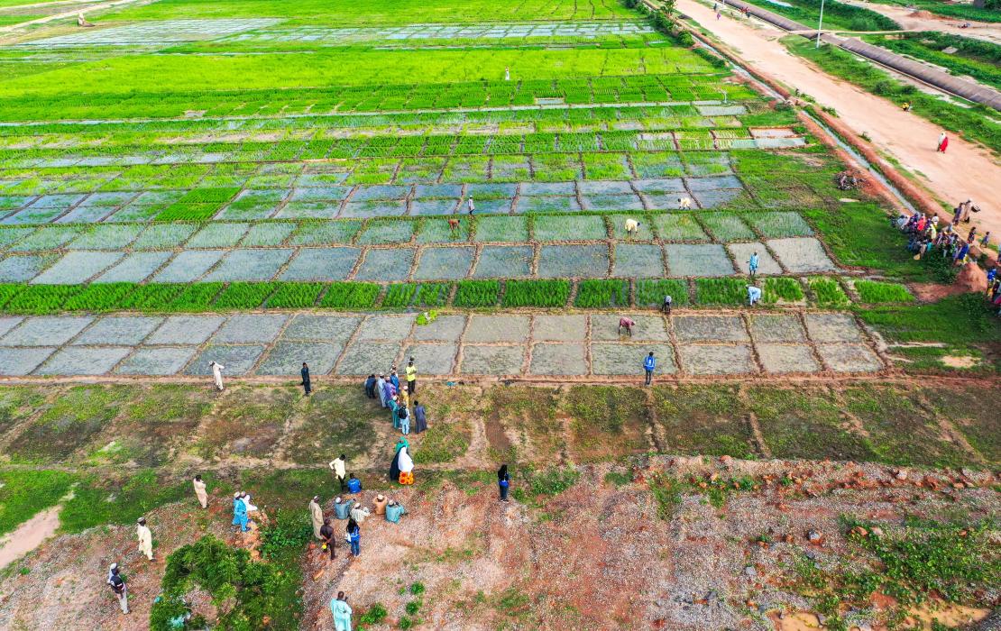 Agricultores en un campo en Nigeria