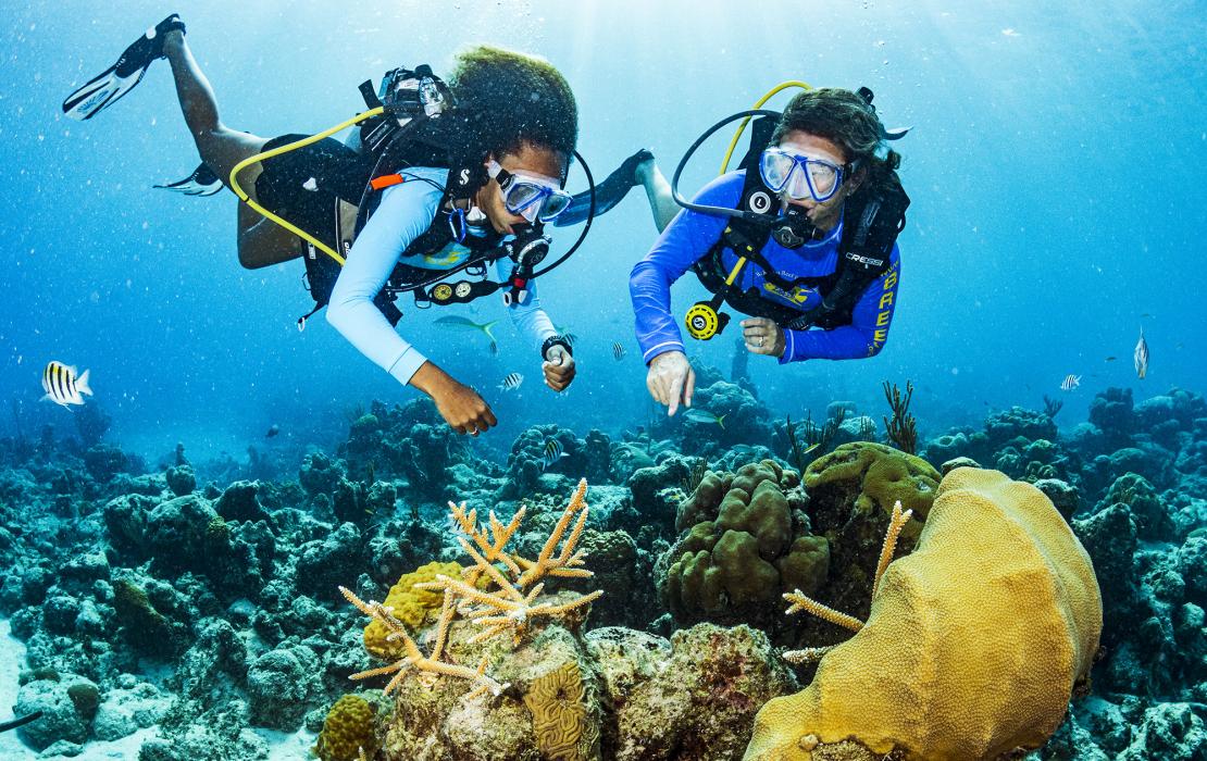 Photo credit: GEF SGP Bahamas Divers in coral ecosystem in Bahamas